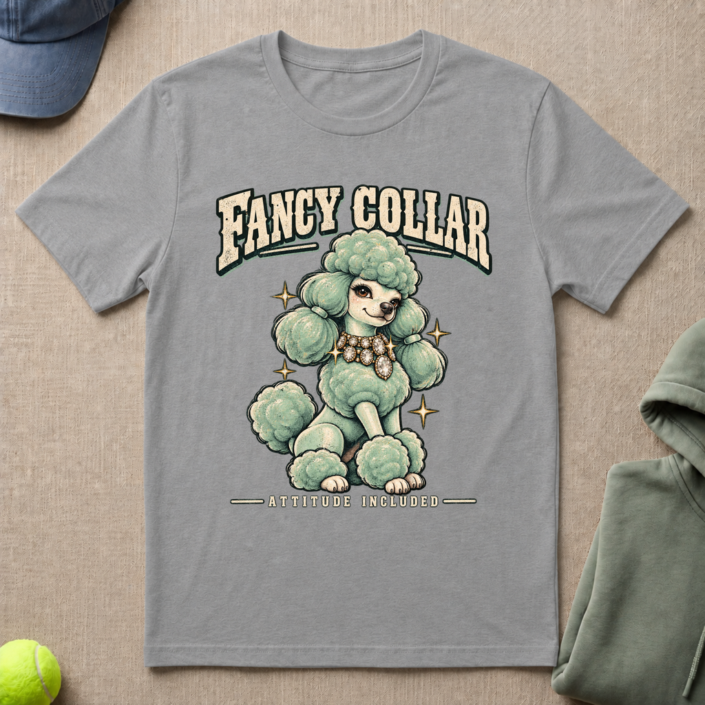 Fancy Collar T-Shirt